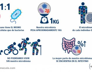 IM_Captura-4-1024x681