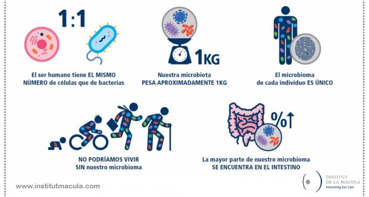 IM_Captura-4-1024x681